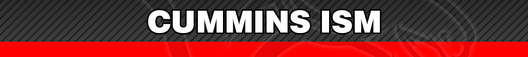 CUMMINS-ISM