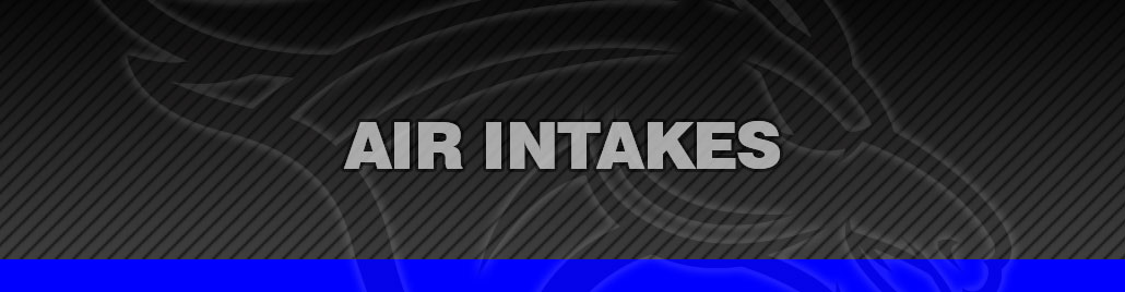 Air Intakes