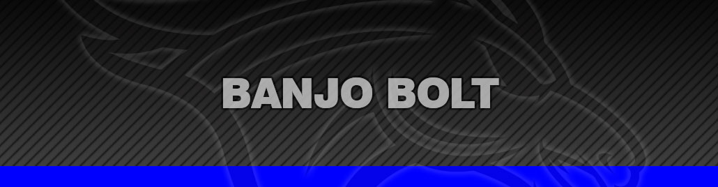 Banjo Bolt
