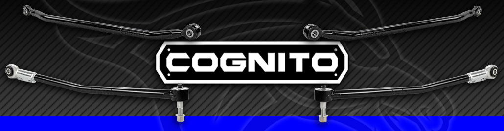 Cognito