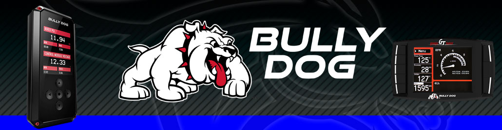 Bully Dog