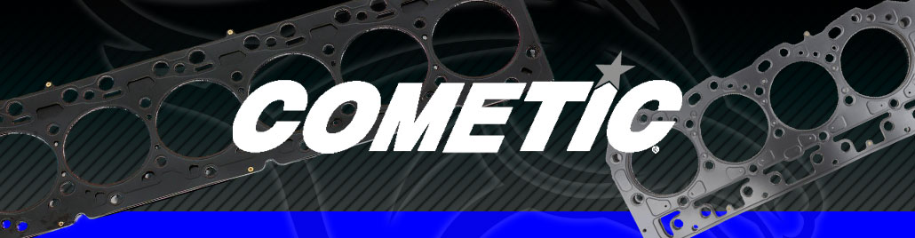 Cometic Gasket