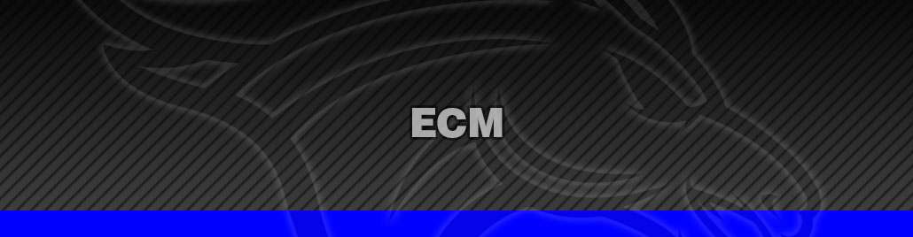 ECM Stock Parts