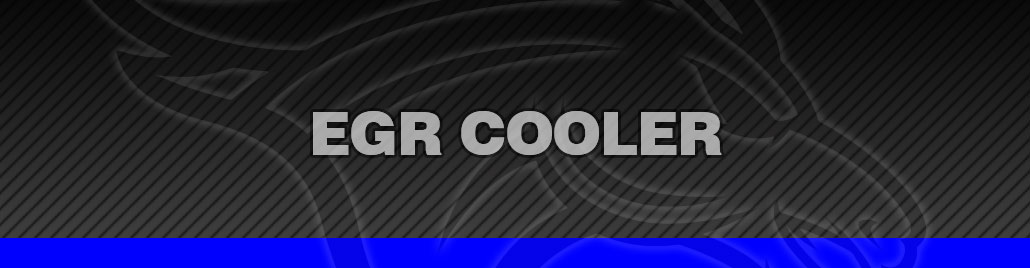 EGR Cooler