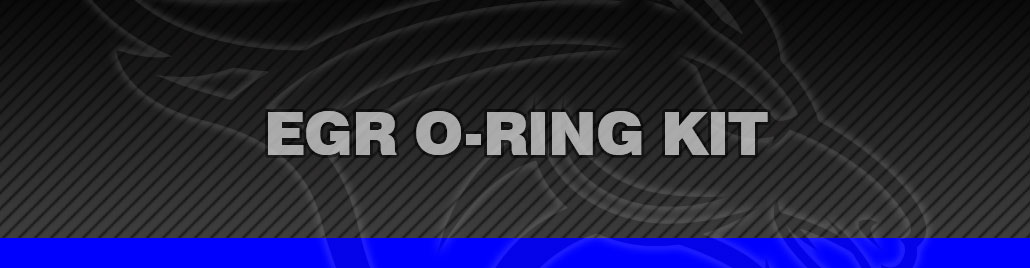 EGR O-Ring Kit