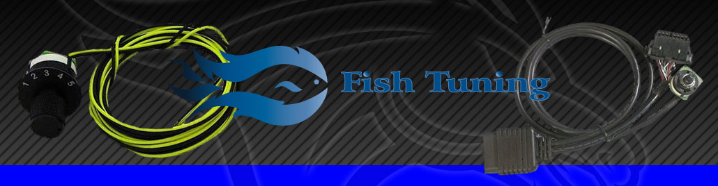 Fish Tuning