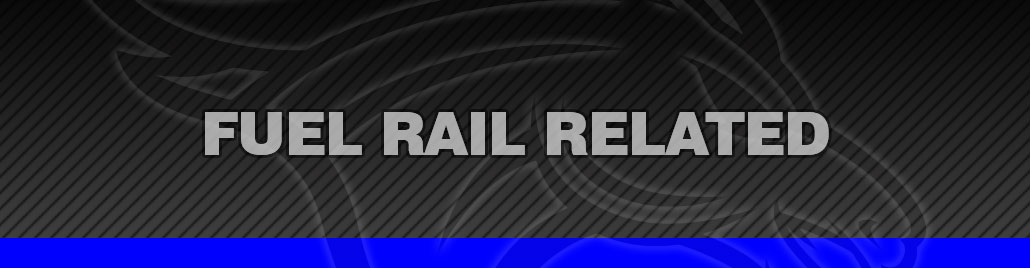 Fuel Rail Related