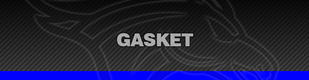 Gasket
