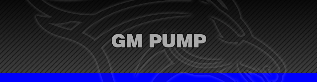 GM Pump