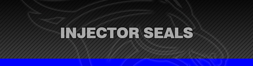 Injector Seals