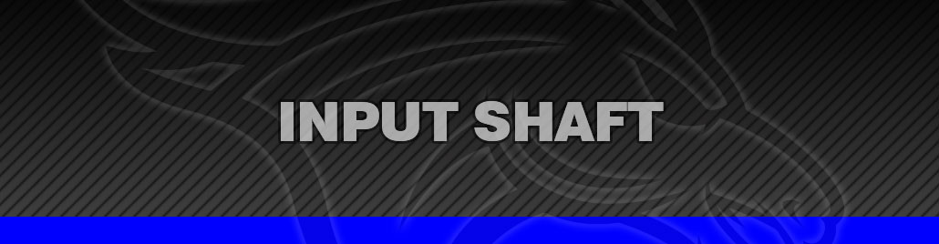 Input Shaft