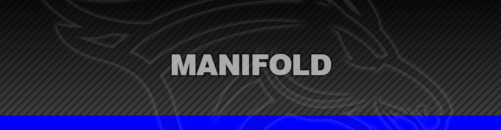 Manifold