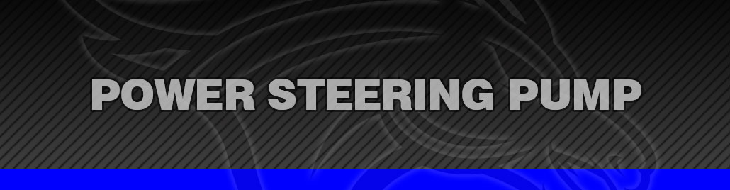 Power Steering Pump