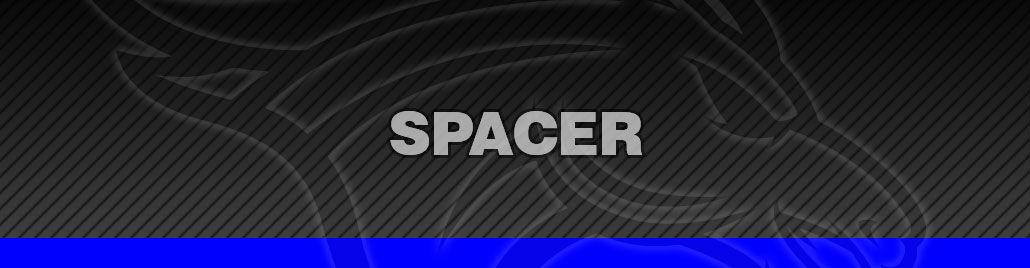 Spacer