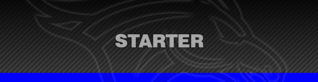 Starter