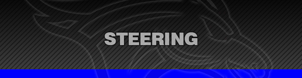 Steering