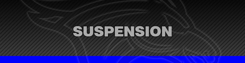 Suspension