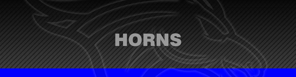 Truck Horns