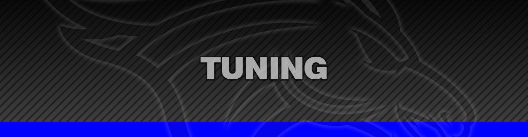 Tuning