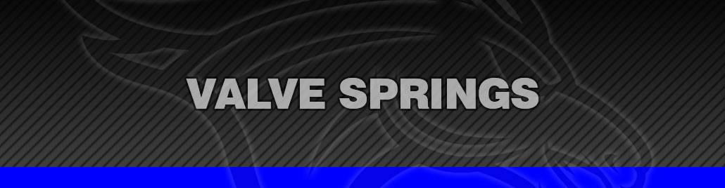 Valve Springs