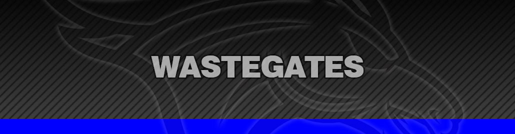 Wastegates