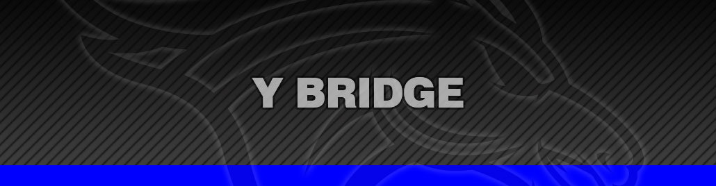 Y-Bridge